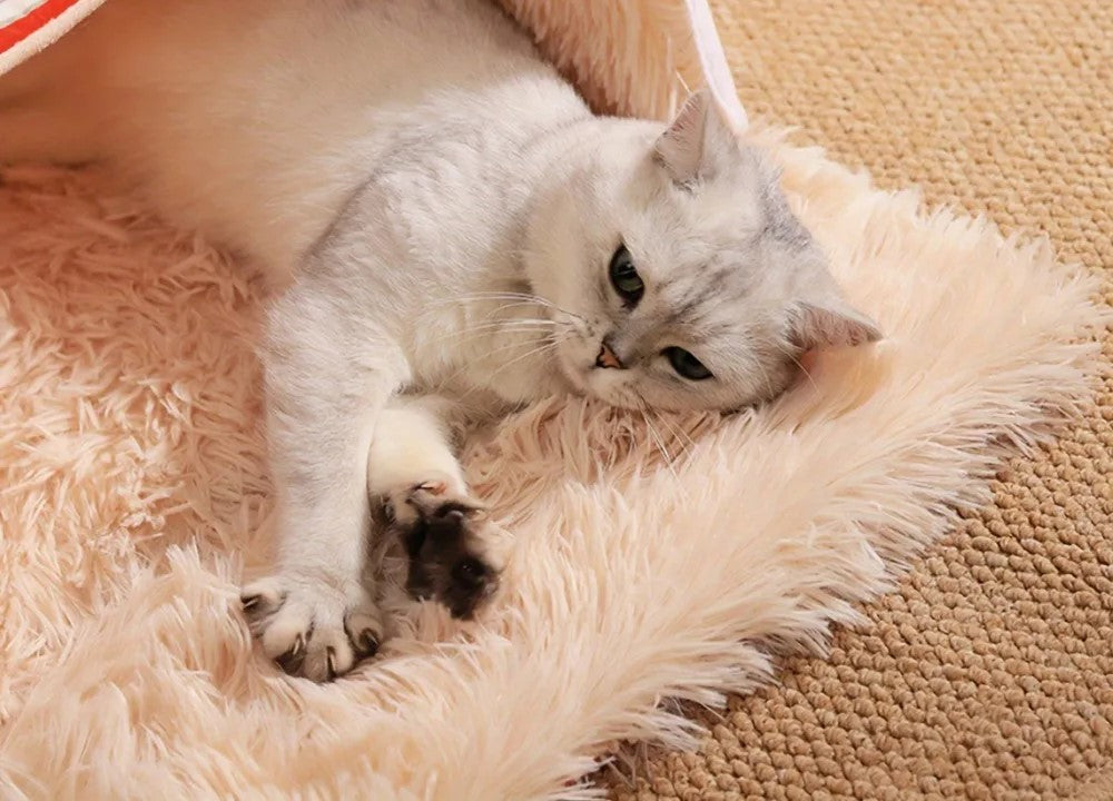 Cozy Nest Bed Box Style – Soft Zippered Plush House for Large Cats & Small Dogs