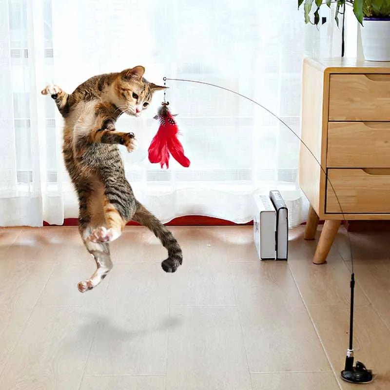 cat wand toy, cat play wand, interactive cat toy, cat exercise toy, suction cup cat toy, cat teaser wand, interactive cat toys for indoor cats, stimulating cat toys, cat wand, playful cat accessories, indoor feline entertainment, active pet toys, engaging feline toy, cat enrichment wand, suction cat teaser, kitten exercise interactive toy, stimulating wand pet toys, interactive cat exercise wand