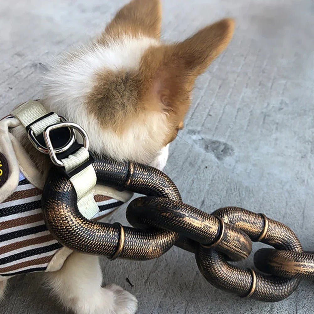 fake chain dog leash, lightweight dog leash, fashion dog leash, funny dog leash, small dog leash, plastic chain dog leash, stylish dog leash, unique dog leash, fake chain dog leash, lightweight dog leash, fashion dog leash, funny dog leash, small dog leash, plastic chain dog leash, stylish dog leash, unique dog leash, fake chain dog leash, lightweight dog leash, fashion dog leash, funny dog leash