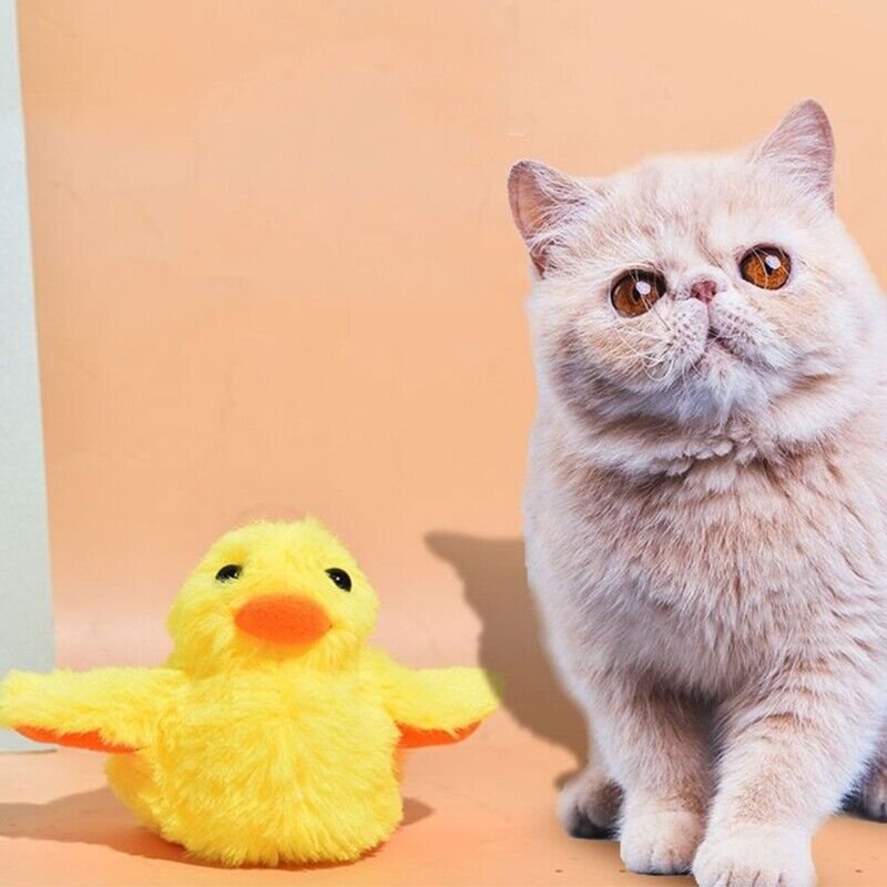 interactive cat toy, flapping duck cat toy, plush cat toy, rechargeable cat toy, electric cat toy, bird simulation cat toy, pet accessories, interactive toys, pet supplies, cat treats, best cat toys, cat exercise wheel, plush bird simulation, electric interactive pet toy, rechargeable plush duck toy, interactive electric flapping duck cat toy, pet cat accessories, pet cat supplies, exercise wheel