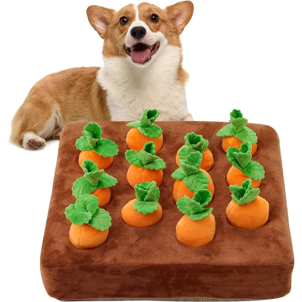 interactive dog toy, squeaky dog toy, dog puzzle mat, dog mental stimulation toy, foraging toy for dogs, dog boredom buster, carrot snuffle mat, dog enrichment toy, puzzle toy for dogs, treat hiding toy, snuffle mat, best snuffle mat for dogs, interactive dog toys for large dogs, interactive puppy toys, dog food puzzle toys, enrichment toys, puzzle toys, dog enrichment ideas, dog treat toys