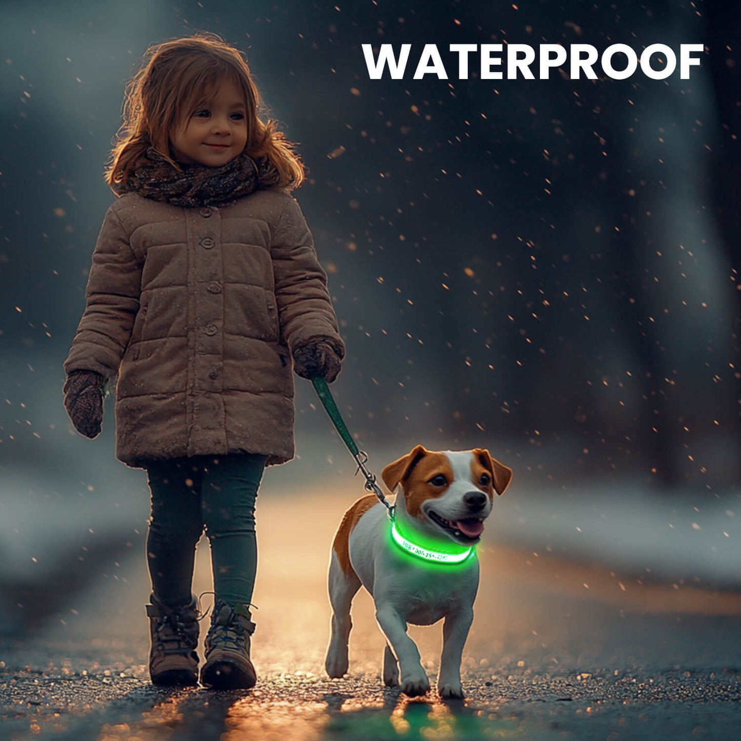 Custom LED Dog Collar with Name