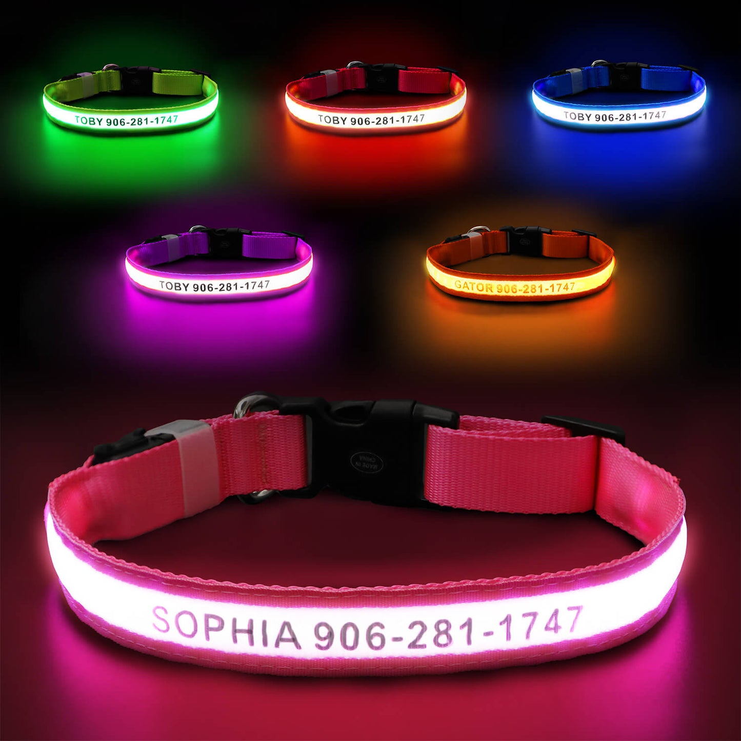 Custom LED Dog Collar with Name