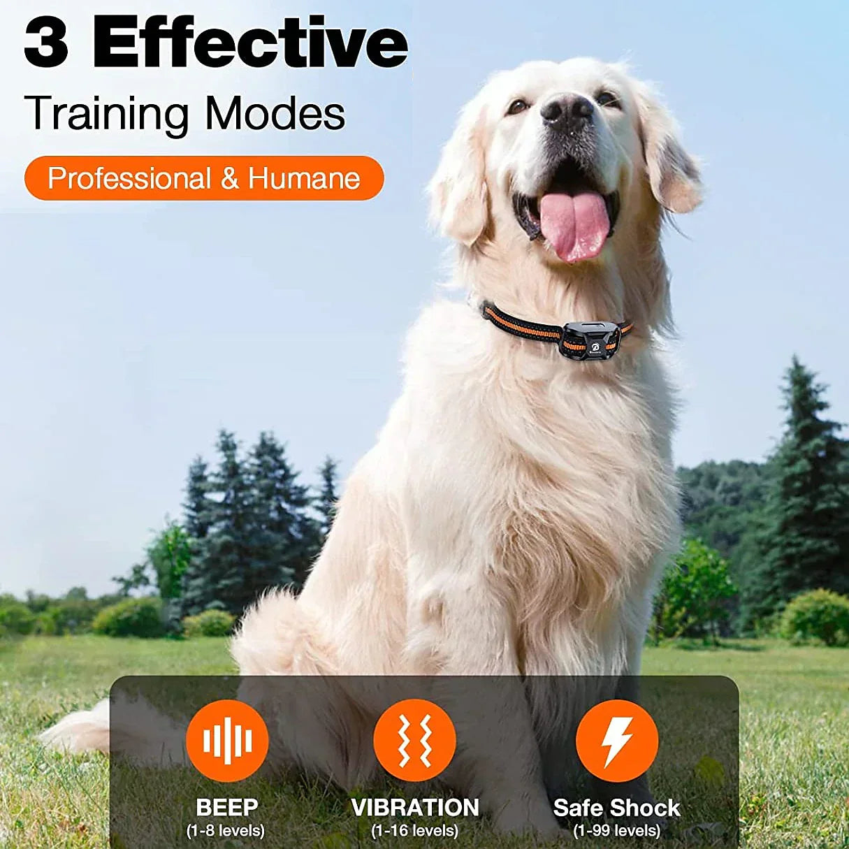 1000m Dog Training Collar with Remote - Waterproof, Rechargeable E-Collar for All Dog Sizes