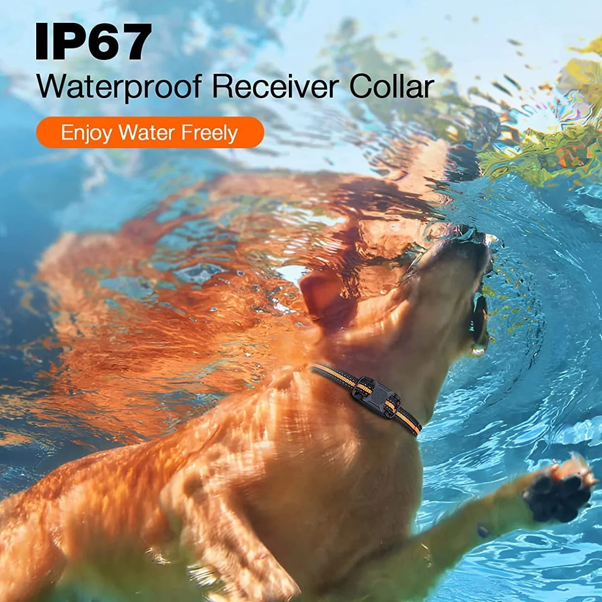 Dog Training Collar – 1000M, Waterproof, Rechargeable