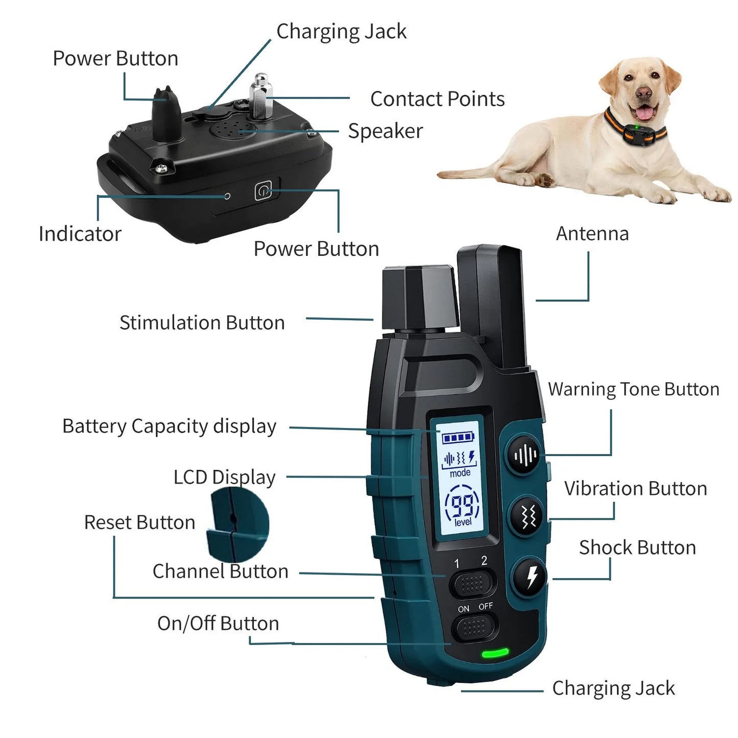 Dog Training Collar – 1000M, Waterproof, Rechargeable