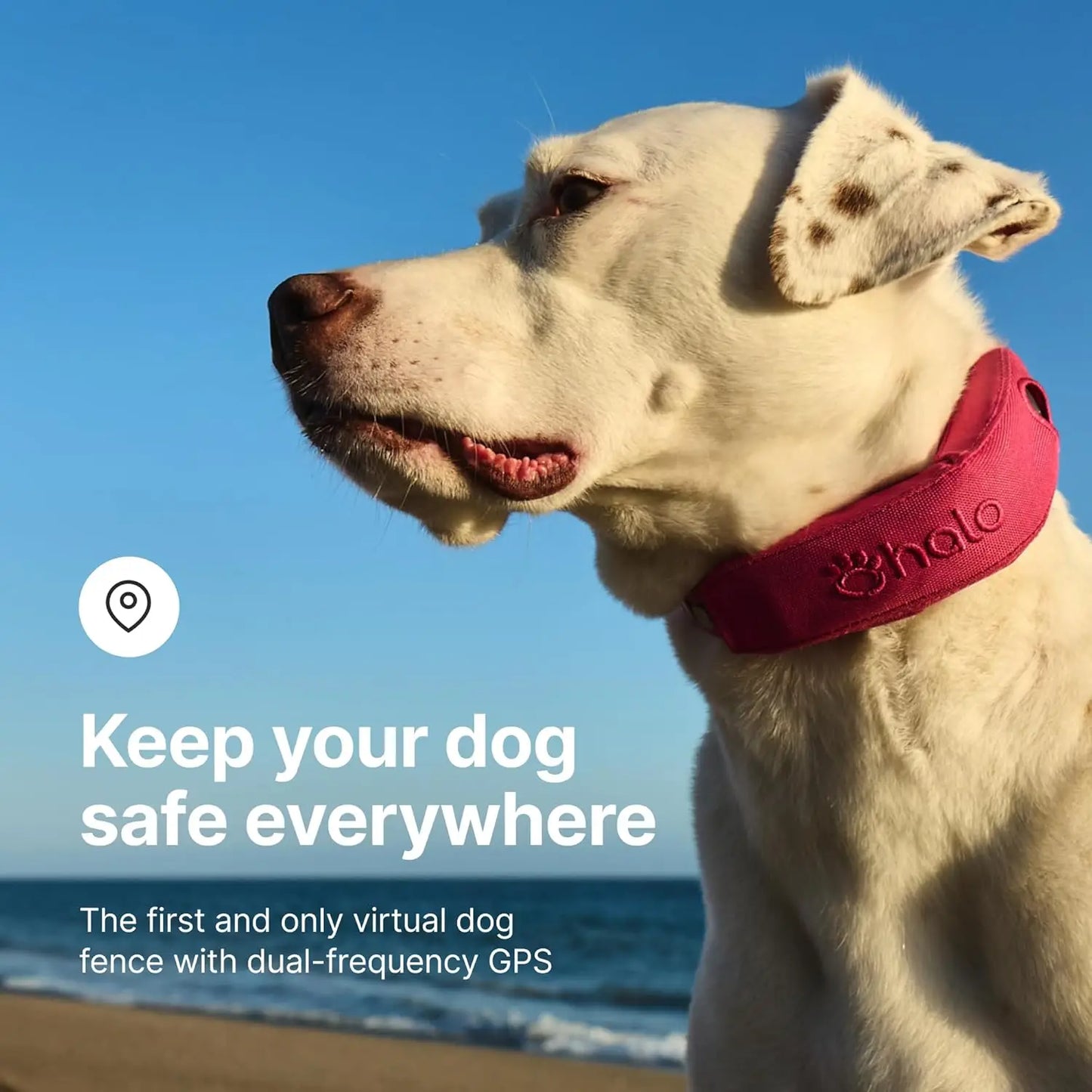 Halo Collar 5 - GPS Dog Fence