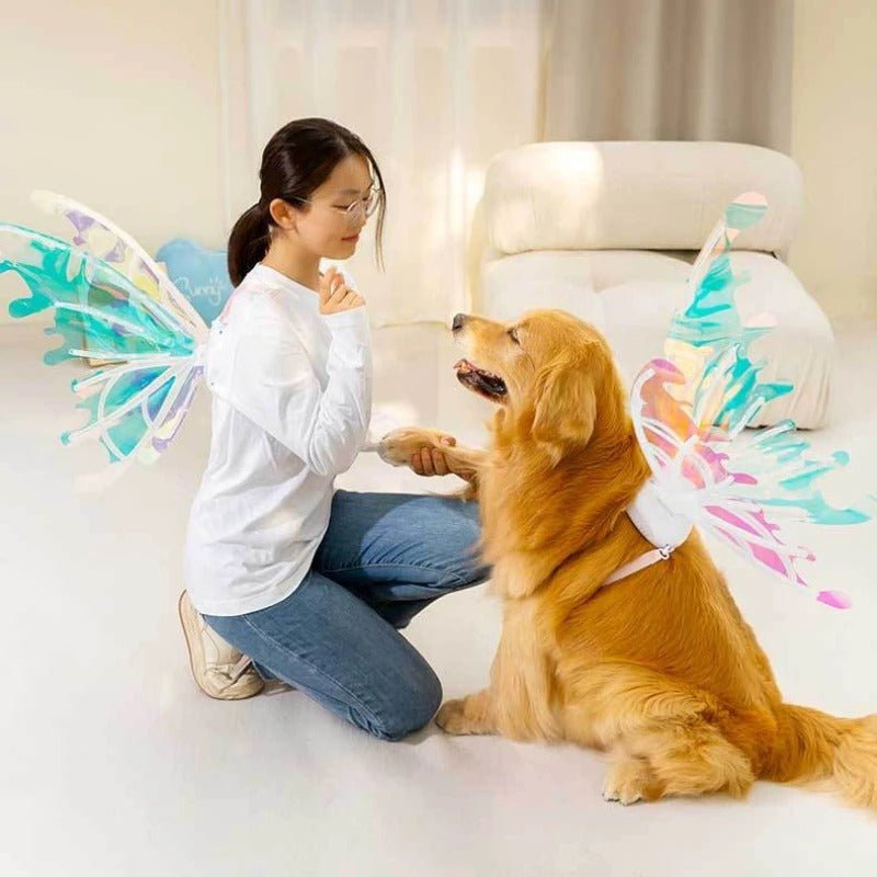 Butterfly Fairy Wings for Dogs - Enchanting Pet Accessory