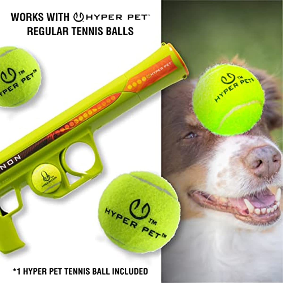 Interactive Ball Thrower, Load & Launch Tennis Balls for Dogs