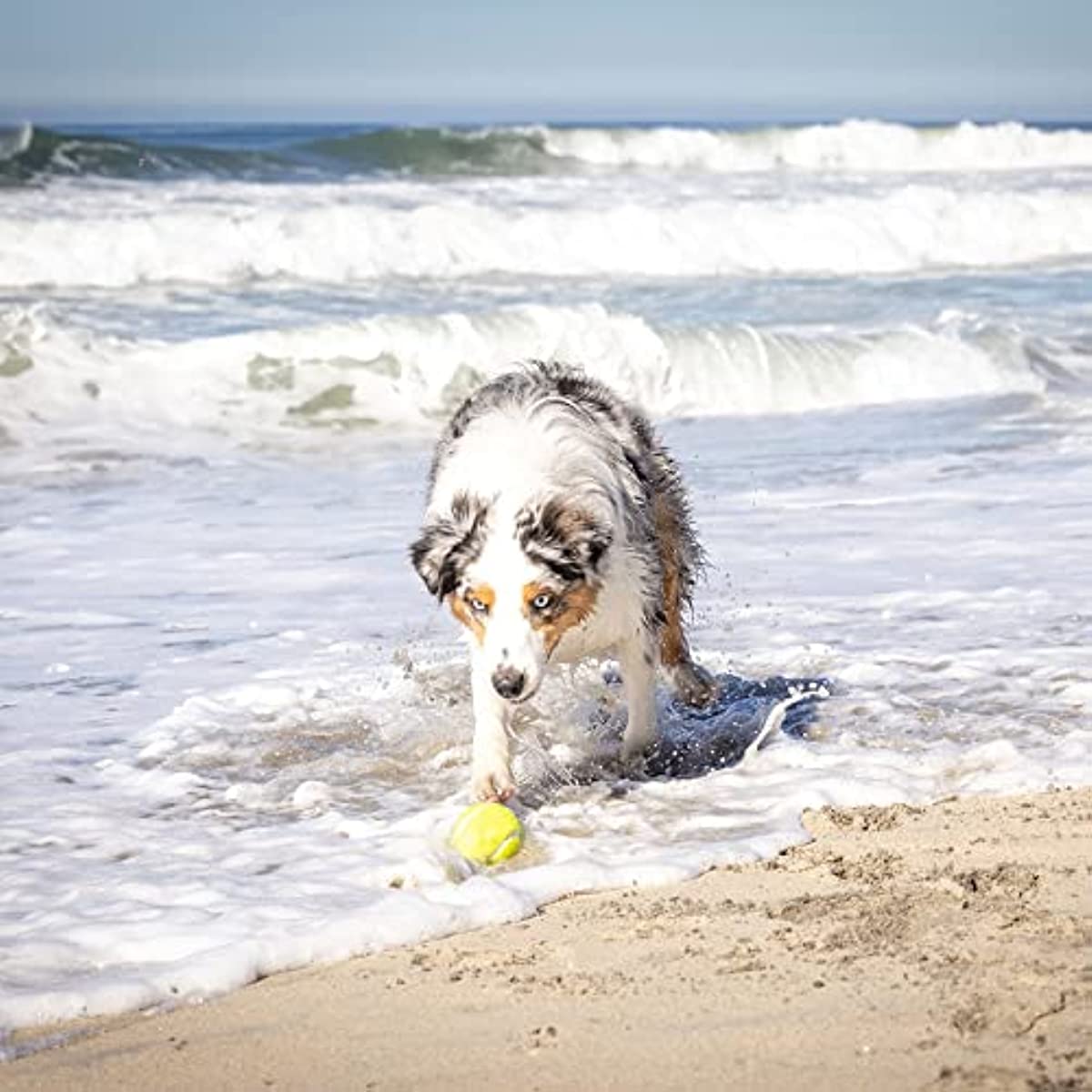 Interactive Ball Thrower, Load & Launch Tennis Balls for Dogs