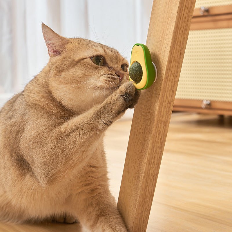 Rotating Edible Catnip Balls – Healthy Spring Stickers & Lickable Bubbles for Cats, A Fun & Tasty Treat to Delight Your Feline Friend