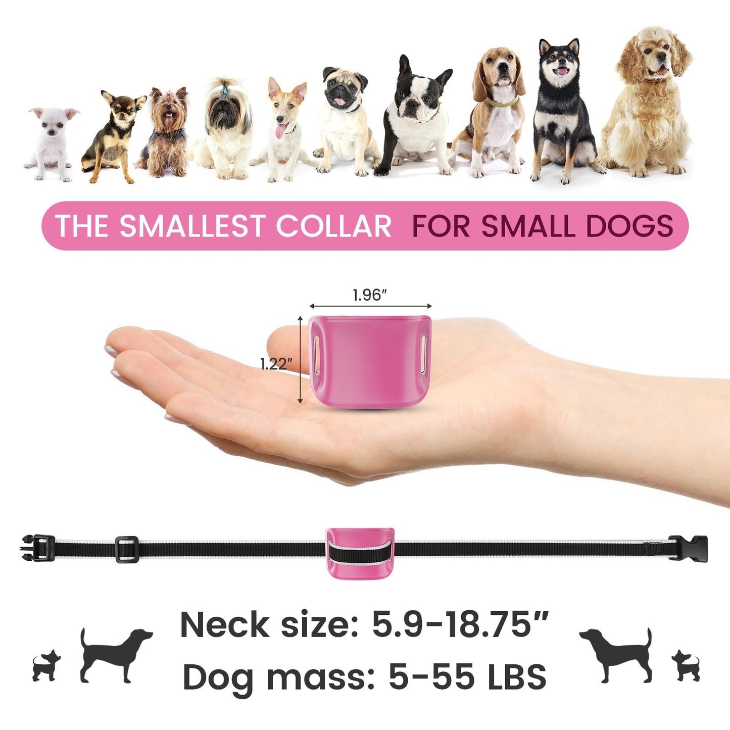 Multifunctional Small Dog Bark Collar-DC651