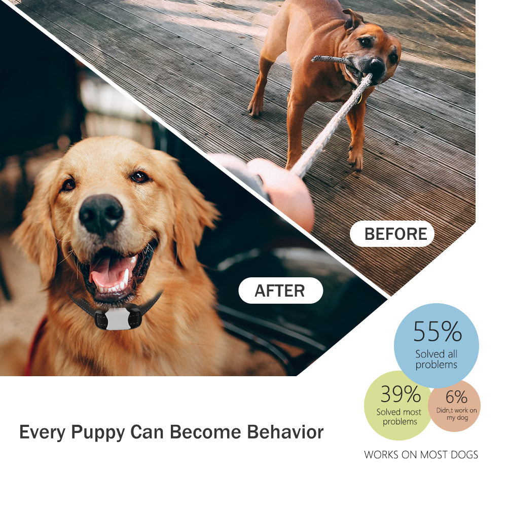 Dog Training Collar Rechargeable IPX7 Waterproof 913 2000ft