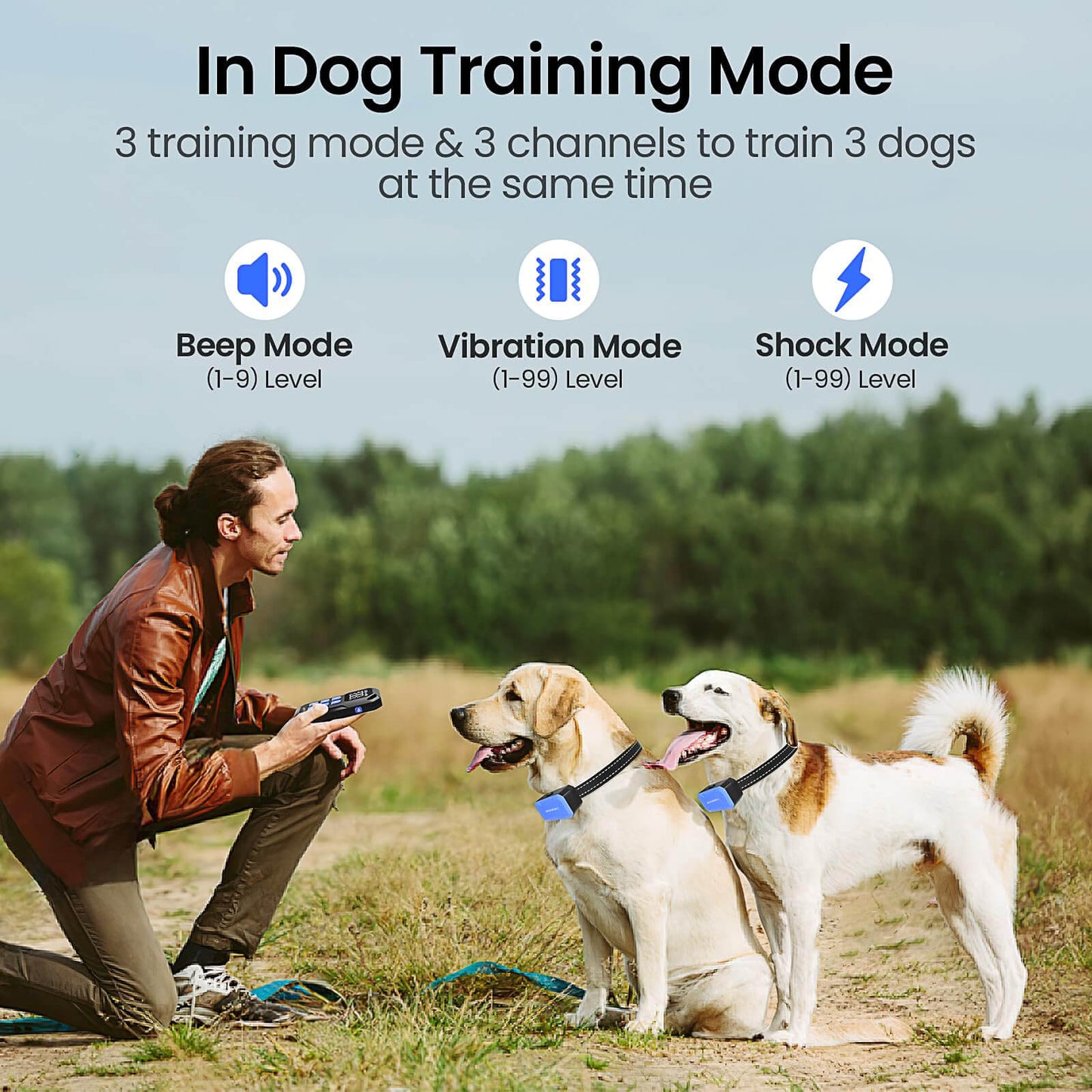 Wireless Dog Fence 2 in 1 Electric Fence for 3 Dogs Training Collar