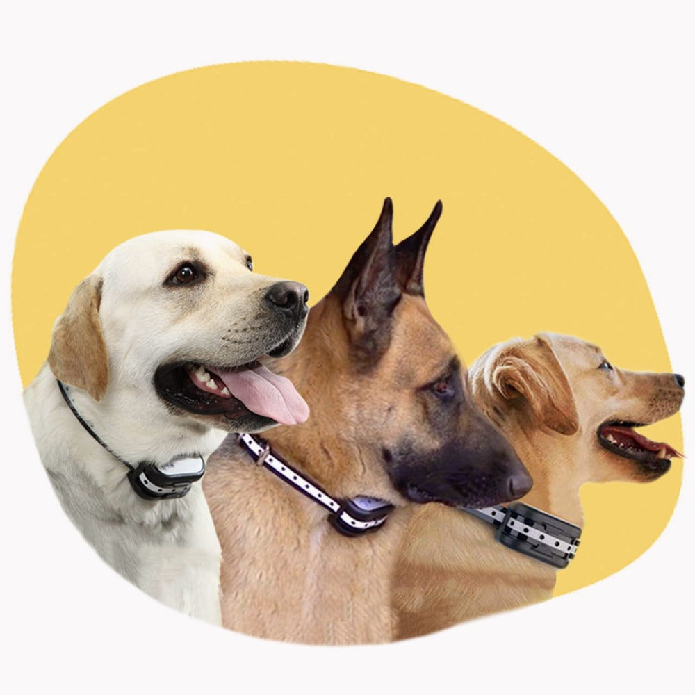 Wireless Electronic Fence and Dog Training Collar
