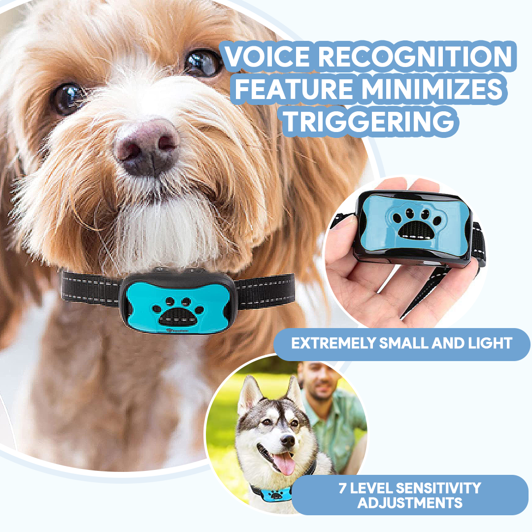 Anti-Bark Collar