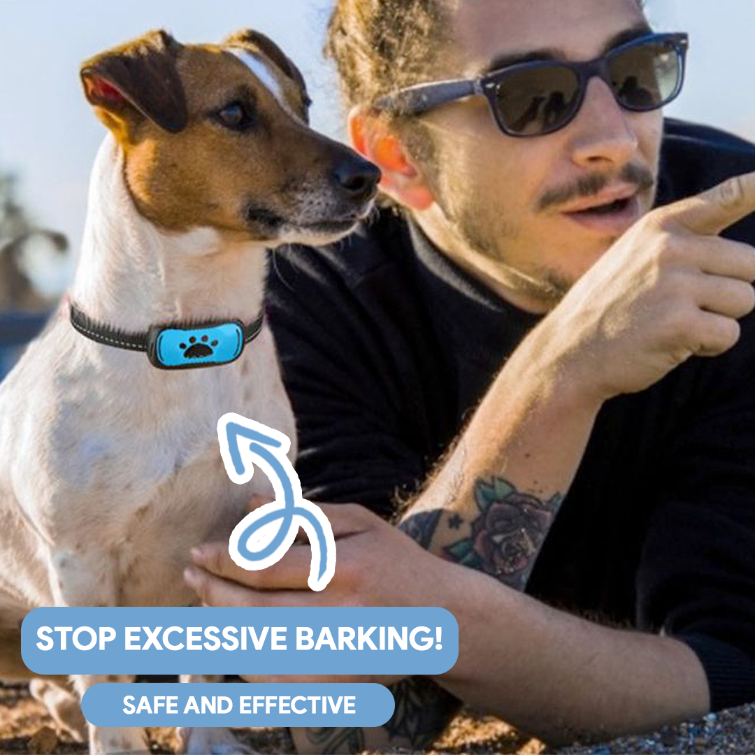 Anti-Bark Collar