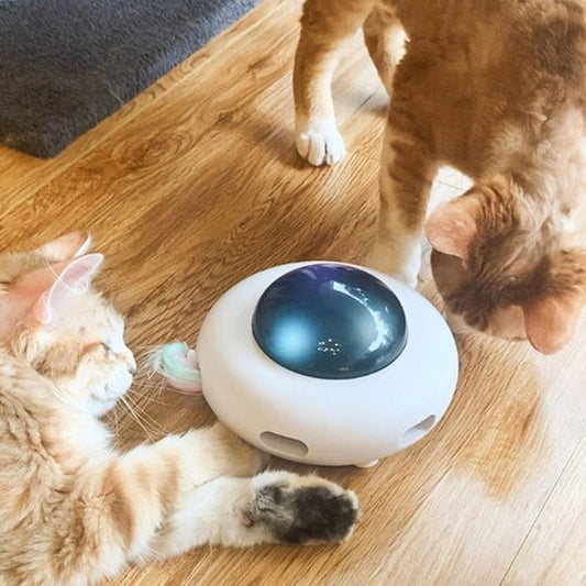 automatic cat toy, interactive cat toy, indoor cat toy, rechargeable cat toy, feather cat toy, self moving cat toy, cat exercise toy, cat anxiety relief, smart cat toy, best interactive cat toys, best cat toys, automatic cat toy, interactive cat toy, indoor cat toy, rechargeable cat toy, feather cat toy, self moving cat toy, cat exercise toy, cat anxiety relief, smart cat toy, best interactive cat toys