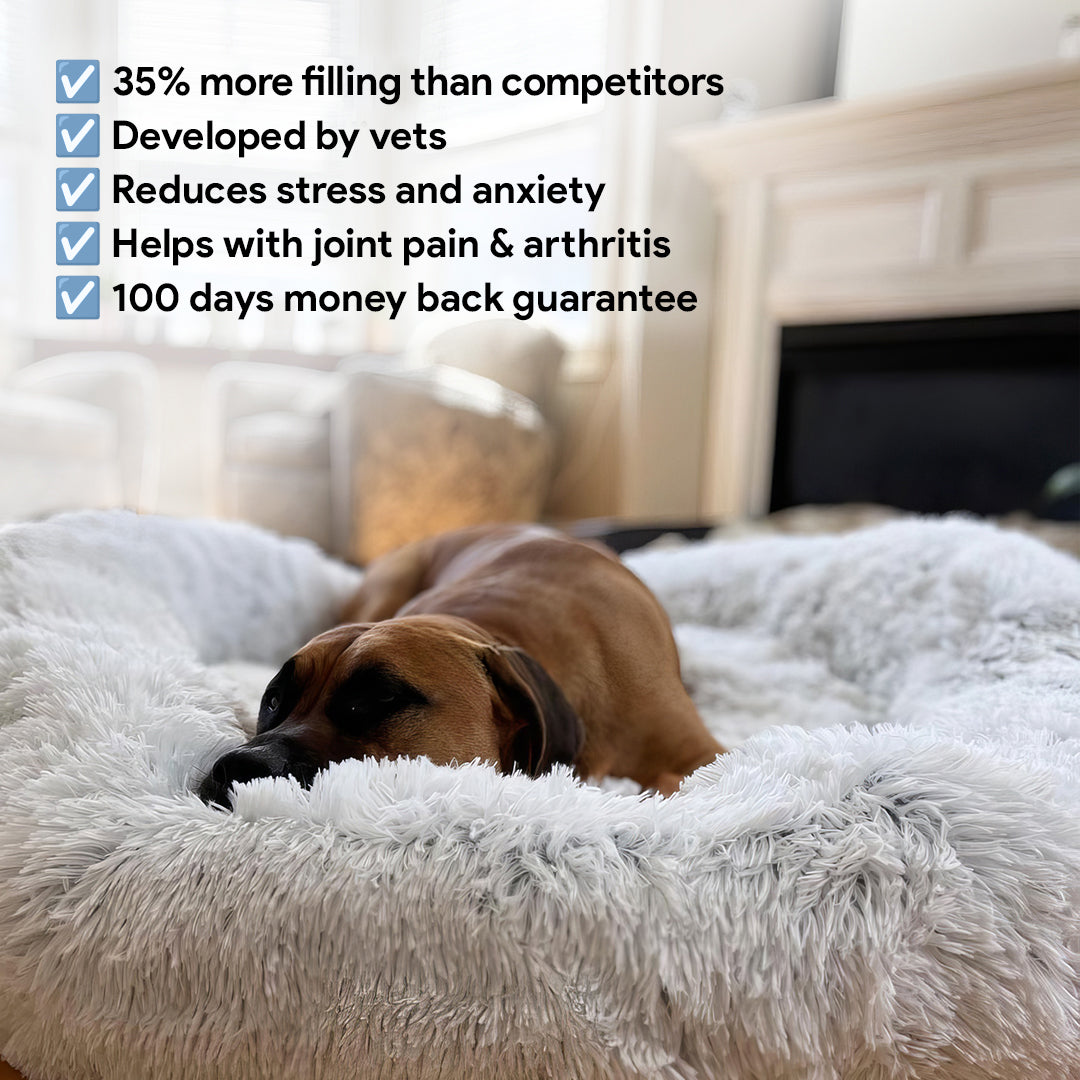 Calming Cloud 9 Dog Bed