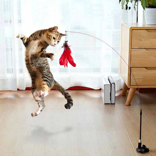 cat wand toy, cat play wand, interactive cat toy, cat exercise toy, suction cup cat toy, cat teaser wand, interactive cat toys for indoor cats, stimulating cat toys, cat wand, playful cat accessories, indoor feline entertainment, active pet toys, engaging feline toy, cat enrichment wand, suction cat teaser, kitten exercise interactive toy, stimulating wand pet toys, interactive cat exercise wand