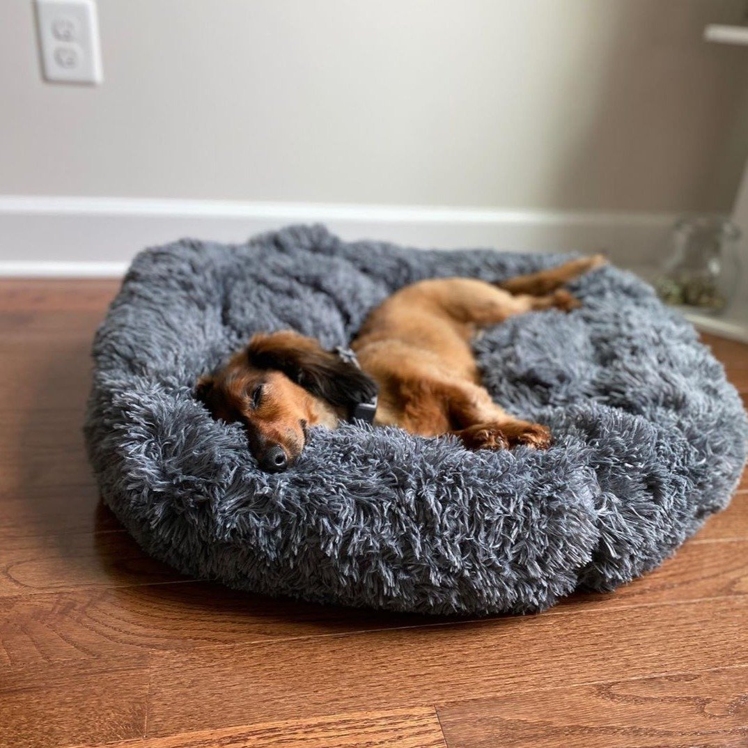 Calming Cloud 9 Dog Bed