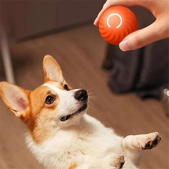 dog interactive toy, self rolling dog ball, dog mental stimulation, rechargeable dog toy, dog toy, indestructible dog toys, dog interactive toy, self rolling dog ball, dog mental stimulation, rechargeable dog toy, dog toy, indestructible dog toys, dog interactive toy, self rolling dog ball, dog mental stimulation, rechargeable dog toy, dog toy, indestructible dog toys