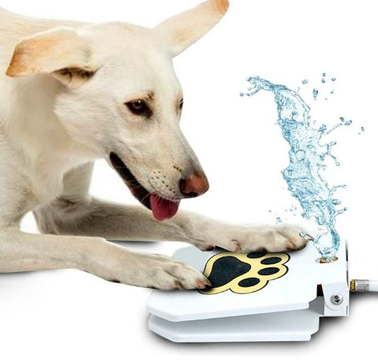 Dog Water Fountain | Step On Dog Waterer | Outdoor Pet Fountain | Automatic Dog Water Fountain