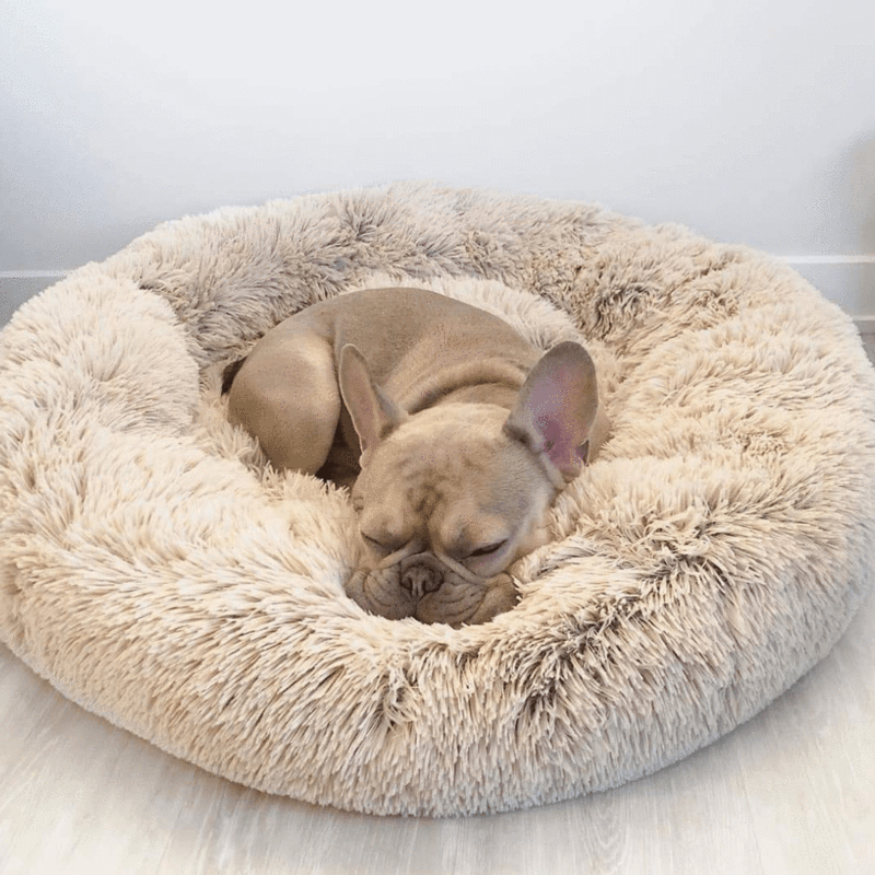 Calming Cloud 9 Dog Bed