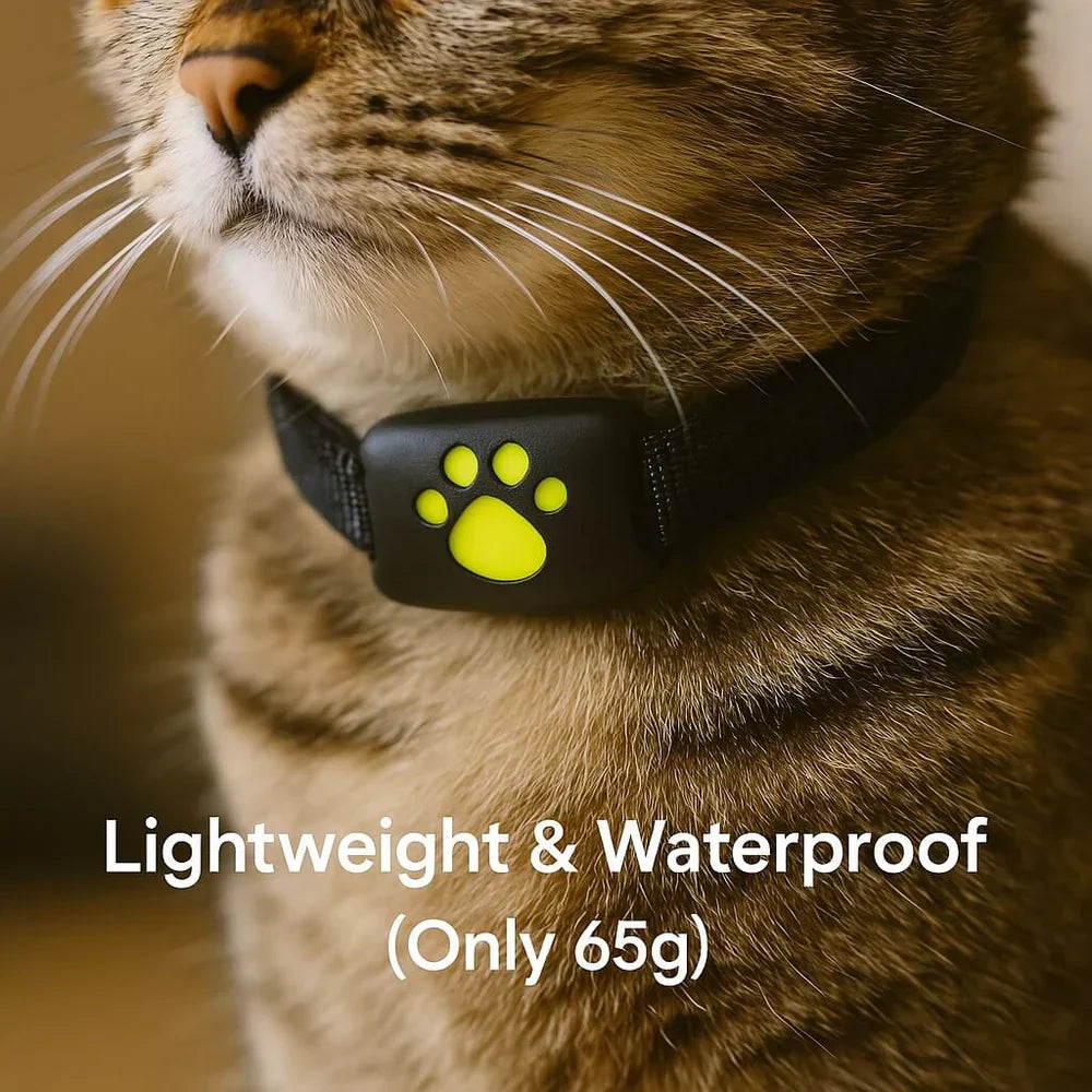 Essential Cat Tracker PRO 3