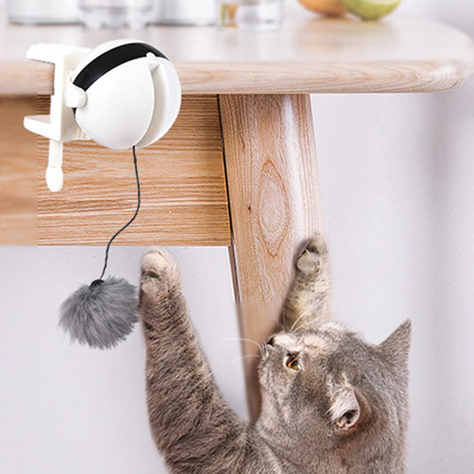 interactive cat toy, automatic cat toy, cat exercise toy, hanging cat toy, motorized cat toy, cat teaser toy, battery operated cat toy, cat hunting toy, interactive cat toy ball, automatic rotating feather toy, hanging feather teaser toy, motorized motion cat play device, battery powered moving teaser wand, cat hunting simulation, interactive chasing cat toy, exercise activity motorized cat toy
