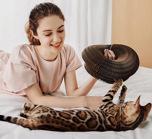 interactive cat toy, bell ball cat toy, corrugated cardboard cat scratcher, space saving cat scratcher, cat scratching post, cat toys, interactive cat toy, cat toys, corrugated cardboard cat scratcher, cat scratching post, bell ball cat toy, space saving cat scratcher, interactive cat toy, cat scratching post, bell ball cat toy, cat toys, corrugated cardboard cat scratcher, space saving cat scratcher