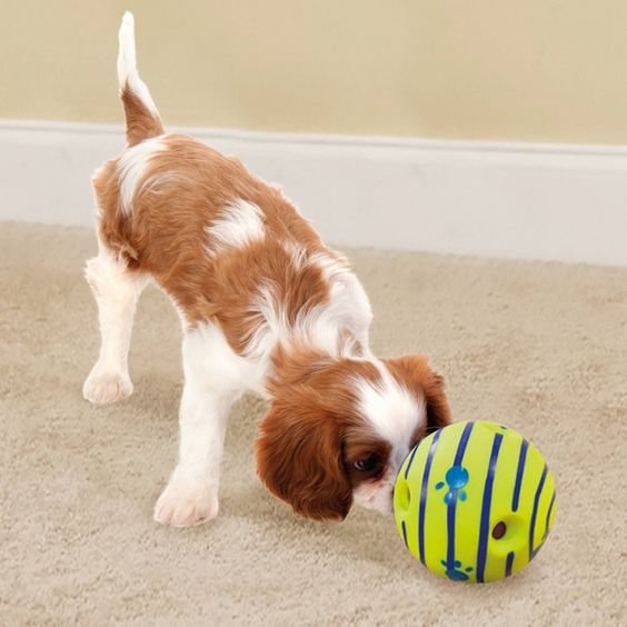 interactive dog toy, glow dog ball, mental stimulation dog toy, glow in the dark dog toy, durable dog ball, dog toys for aggressive chewers, dog exercise toy, dog boredom buster, dog puzzle toys, dog toy ball, tough dog toys, best dog toys for chewers, toys for aggressive chewers, stimulating dog toys, dog toys for boredom