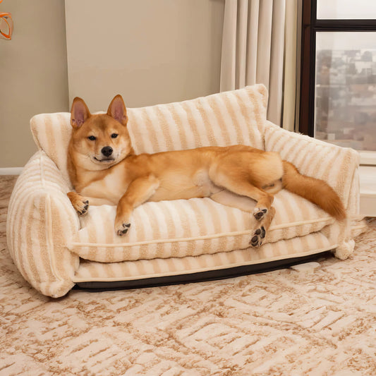 pet sofa bed, striped pet bed, dog lounge bed, pet couch, luxury pet bed, memory foam pet bed, stylish pet bed, dog beds, couch, sofa bed, comfortable pet couch, modern dog lounge bed, cozy striped pet sofa bed, premium memory foam pet sofa, stylish luxury dog couch bed, deluxe pet sofa bed, pet furniture sofa bed, soft luxury pet lounge sofa, elegant striped couch-style pet bed