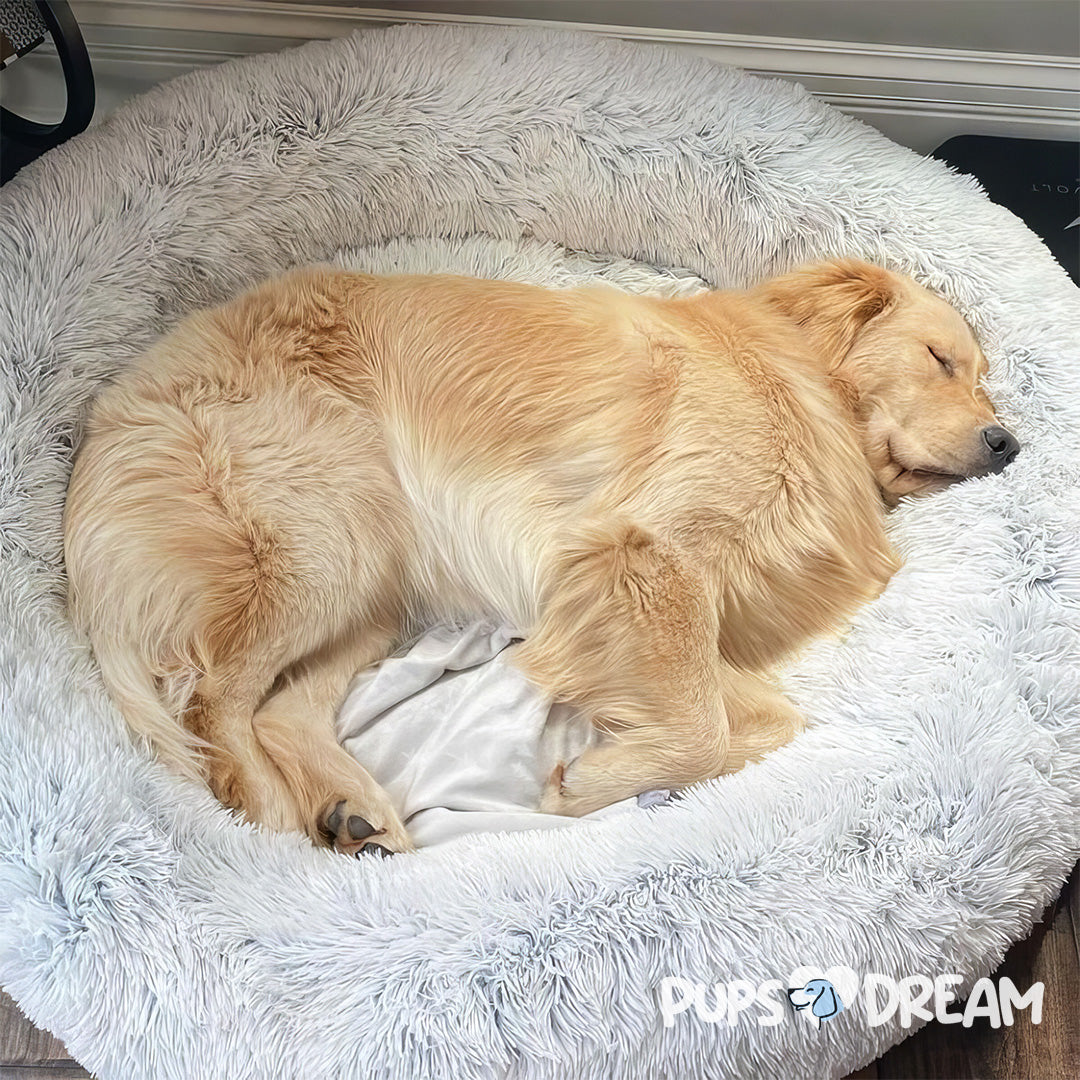 Calming Cloud 9 Dog Bed