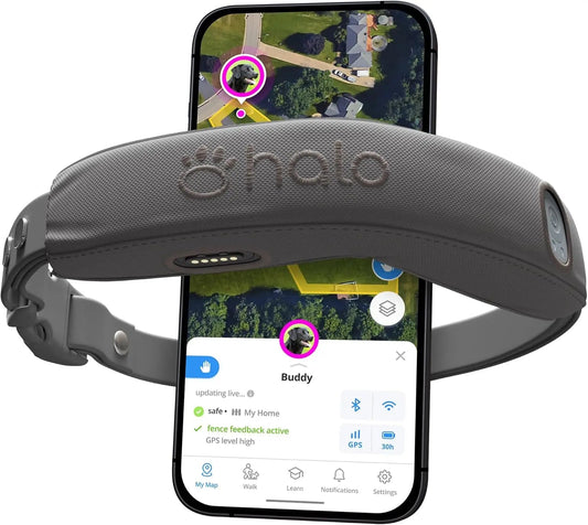 smart dog collar, gps dog collar, dog tracking collar, pet location device, dog activity tracker, smart pet technology, gps pet tracker, electronic dog fencing, invisible fence for dogs, smart dog collar tracker, pet GPS tracking collar, dog safety collar, pet boundary collar, advanced pet technology, dog tracking GPS system, wireless electronic dog fence, pet activity monitoring collar