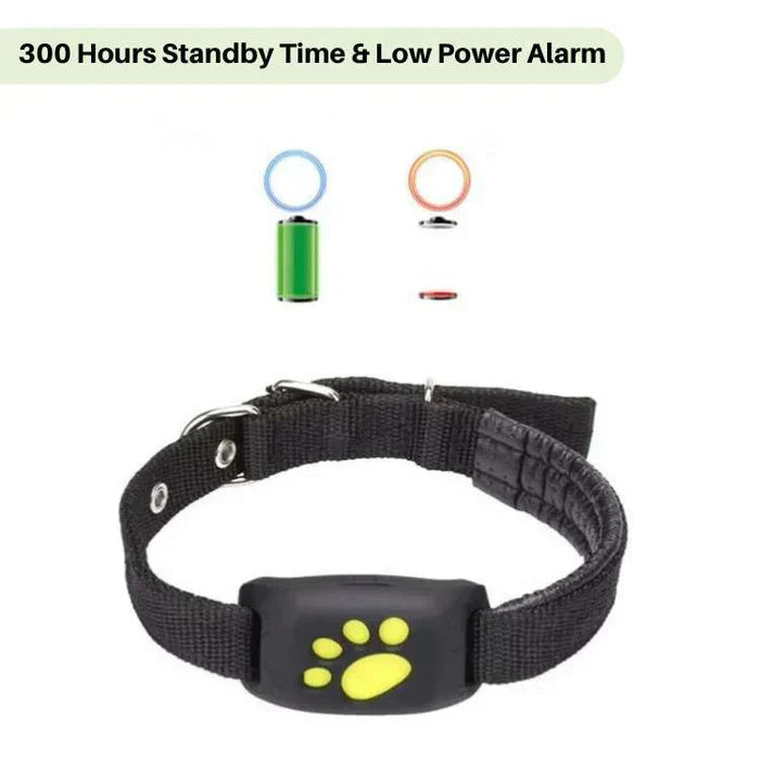 Essential Cat Tracker PRO 3