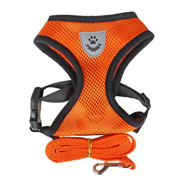 Adjustable Harness for Small Dogs, Cats - Comfortable Outdoor Harness