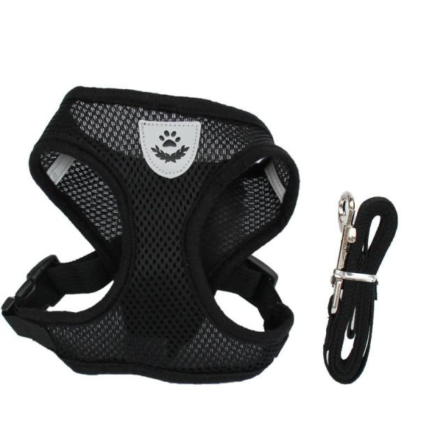 Adjustable Harness for Small Dogs, Cats - Comfortable Outdoor Harness