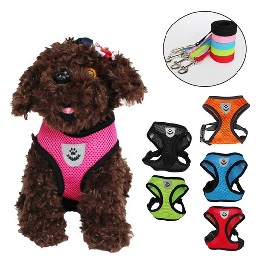 Adjustable Harness for Small Dogs, Cats - Comfortable Outdoor Harness