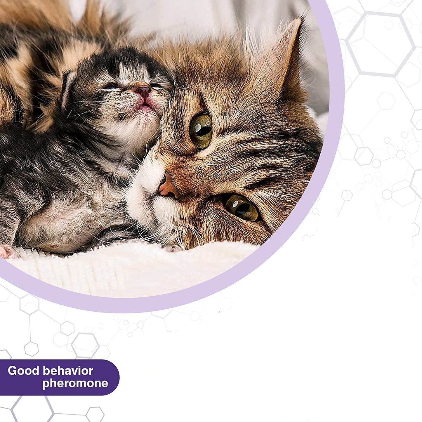 Behavior and Calming Collar for Cats 4pcs- 38cm