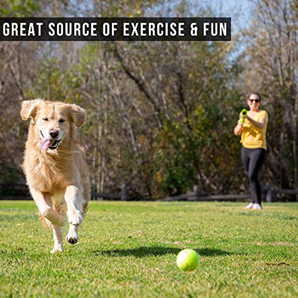 Interactive Ball Thrower, Load & Launch Tennis Balls for Dogs