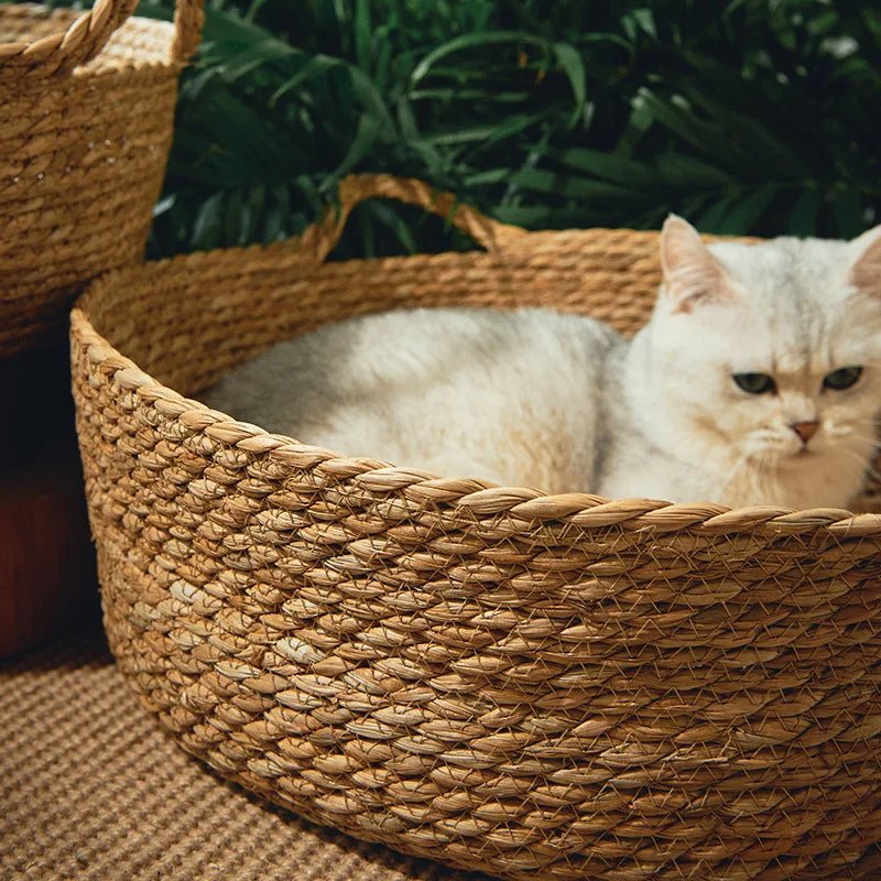 Handwoven Rattan Cat Bed – Cozy Scratch-Resistant Nest with Detachable, Washable Warmth Pad for Winter Comfort