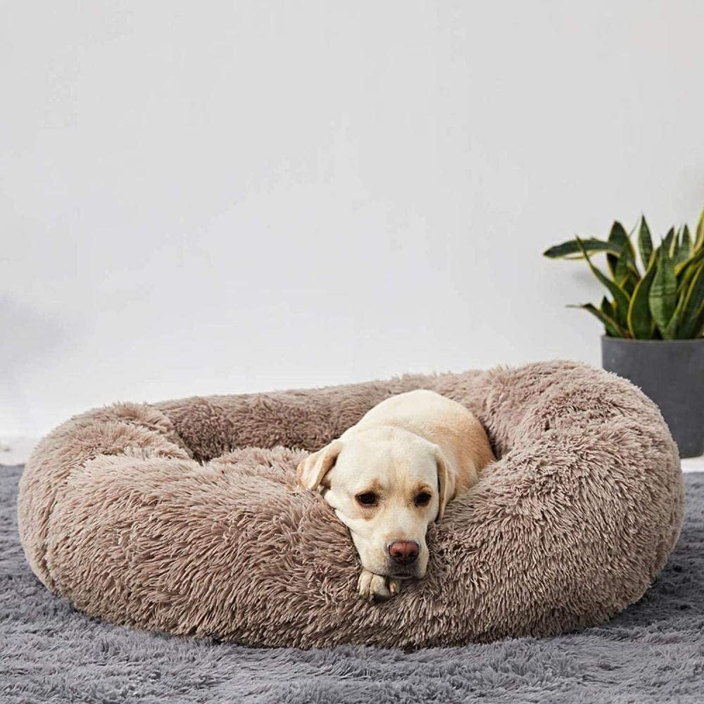 Calming Cloud 9 Dog Bed