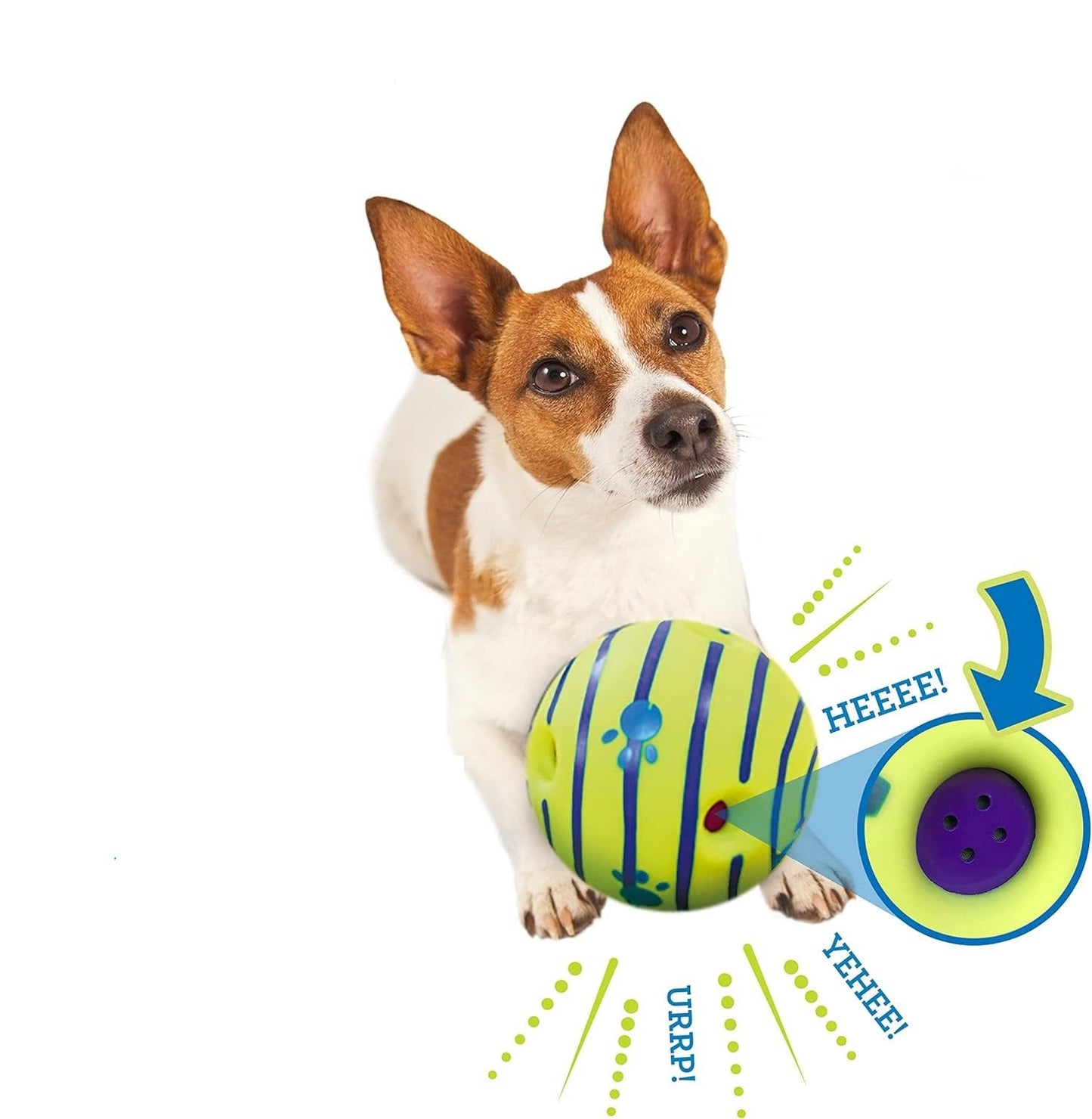 Interactive Dog Toy with Fun Giggle Sounds